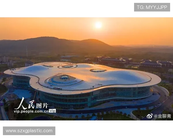 南京极限运动队意识表现的数据分析与研究探讨